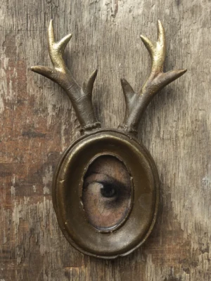 DEER VISION