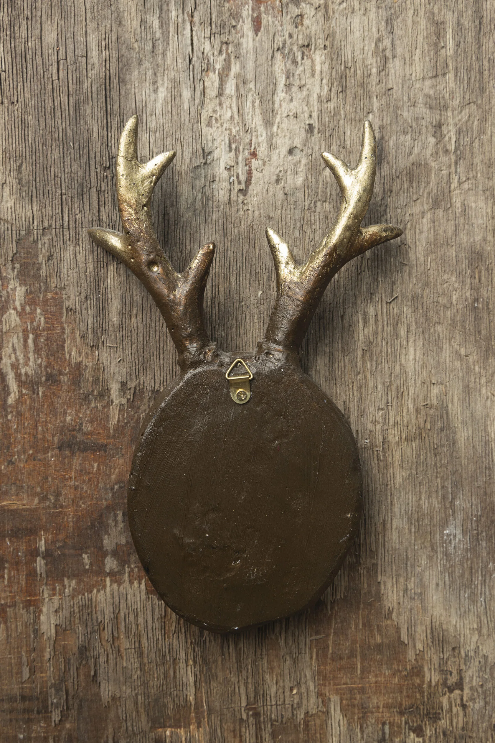 DEER VISION - Image 2